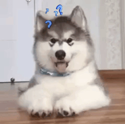 A confused gif did not load:(